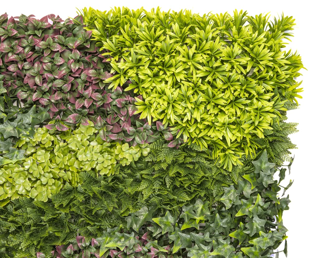 Jardin Vertical Costa Nortene