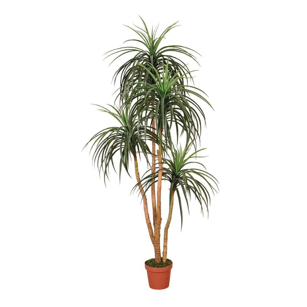 Planta artificial Nolina Catral