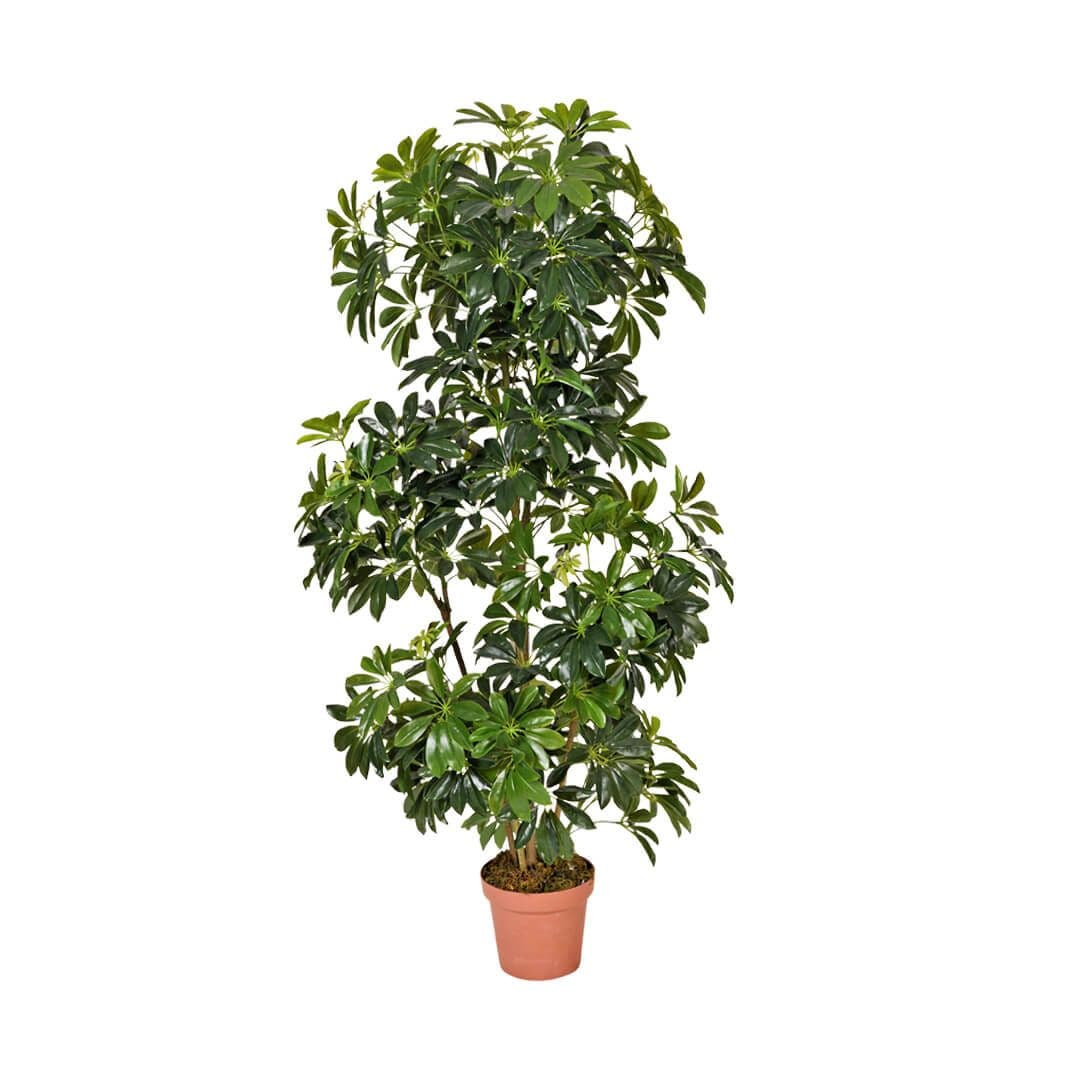Planta artificial Cheflera Catral