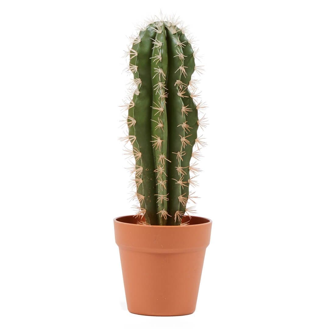 Cactus artificial Stetsonia Catral