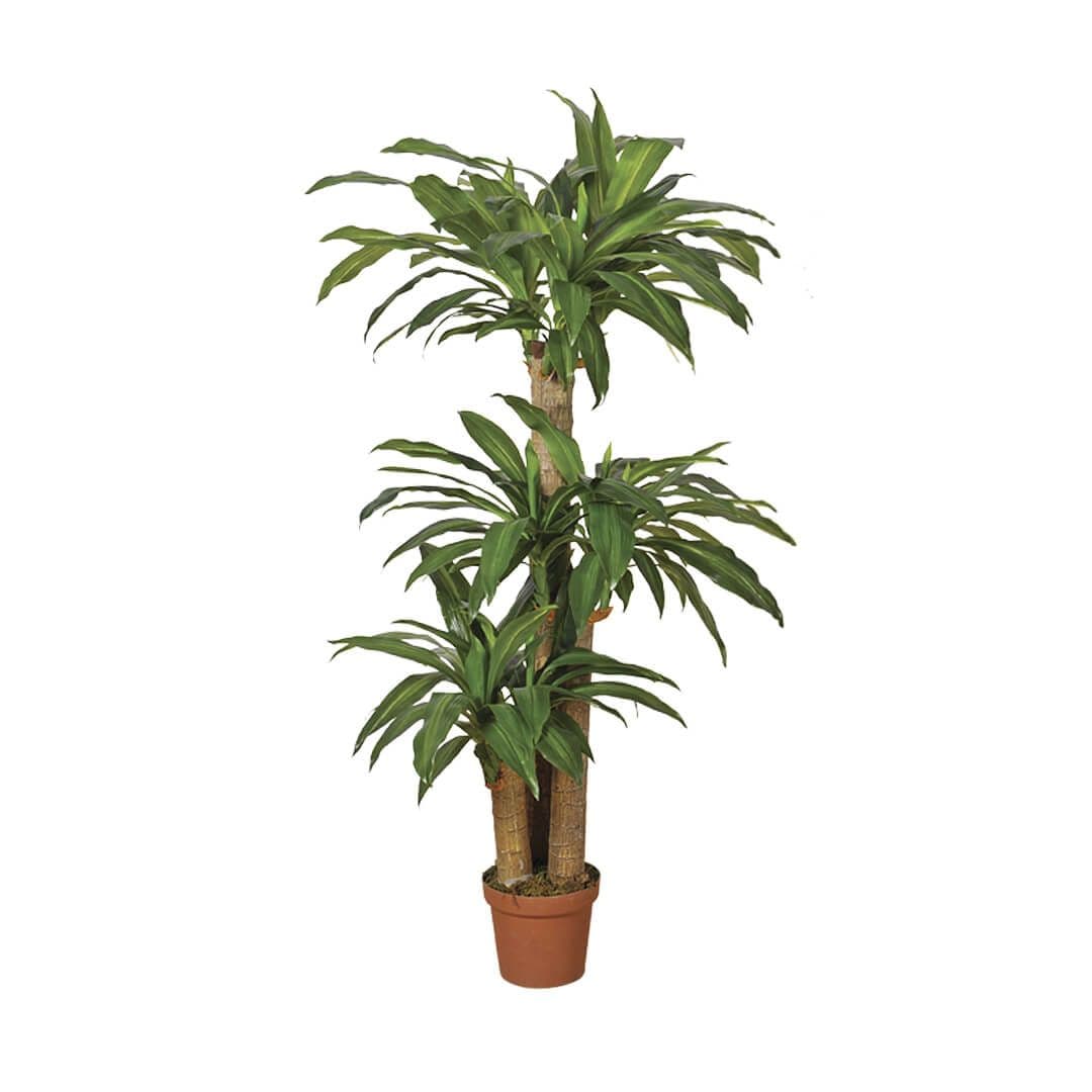 Planta artificial Dracena Catral
