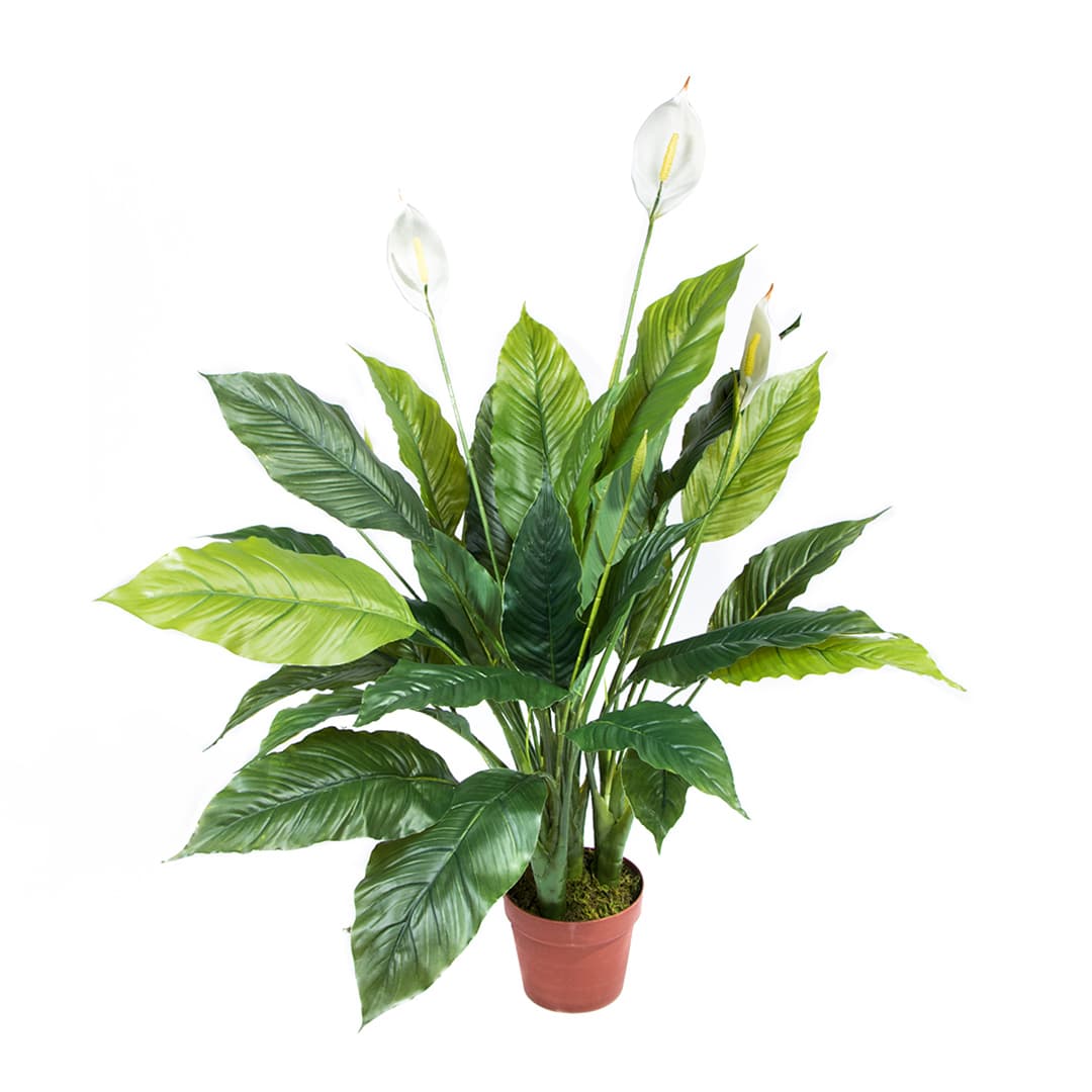 Planta artificial Vela del Viento Catral