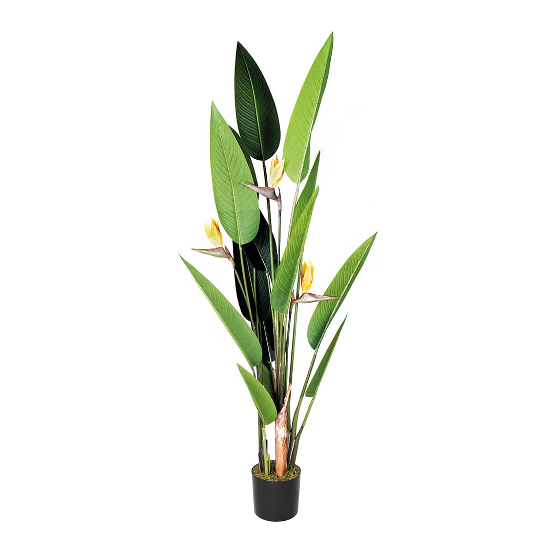 Planta artificial Ave del Paraiso Flor Catral